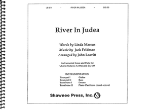 Book cover for River in Judea