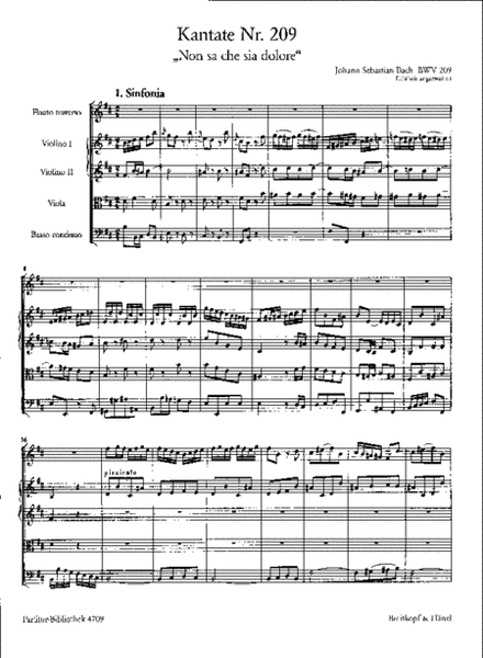 Cantata BWV 209 Non sa che sia dolore