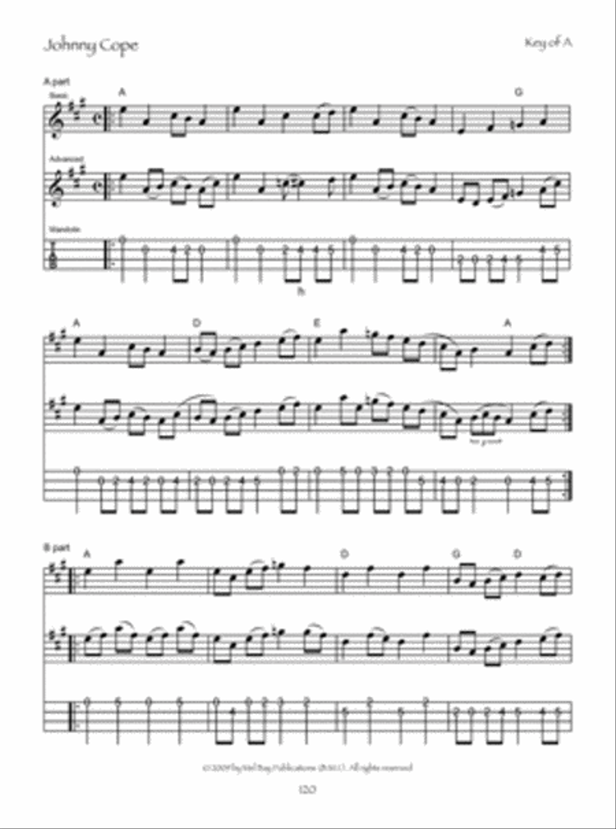 Old-Time Festival Tunes for Fiddle & Mandolin Violin scores gallery preview page 3