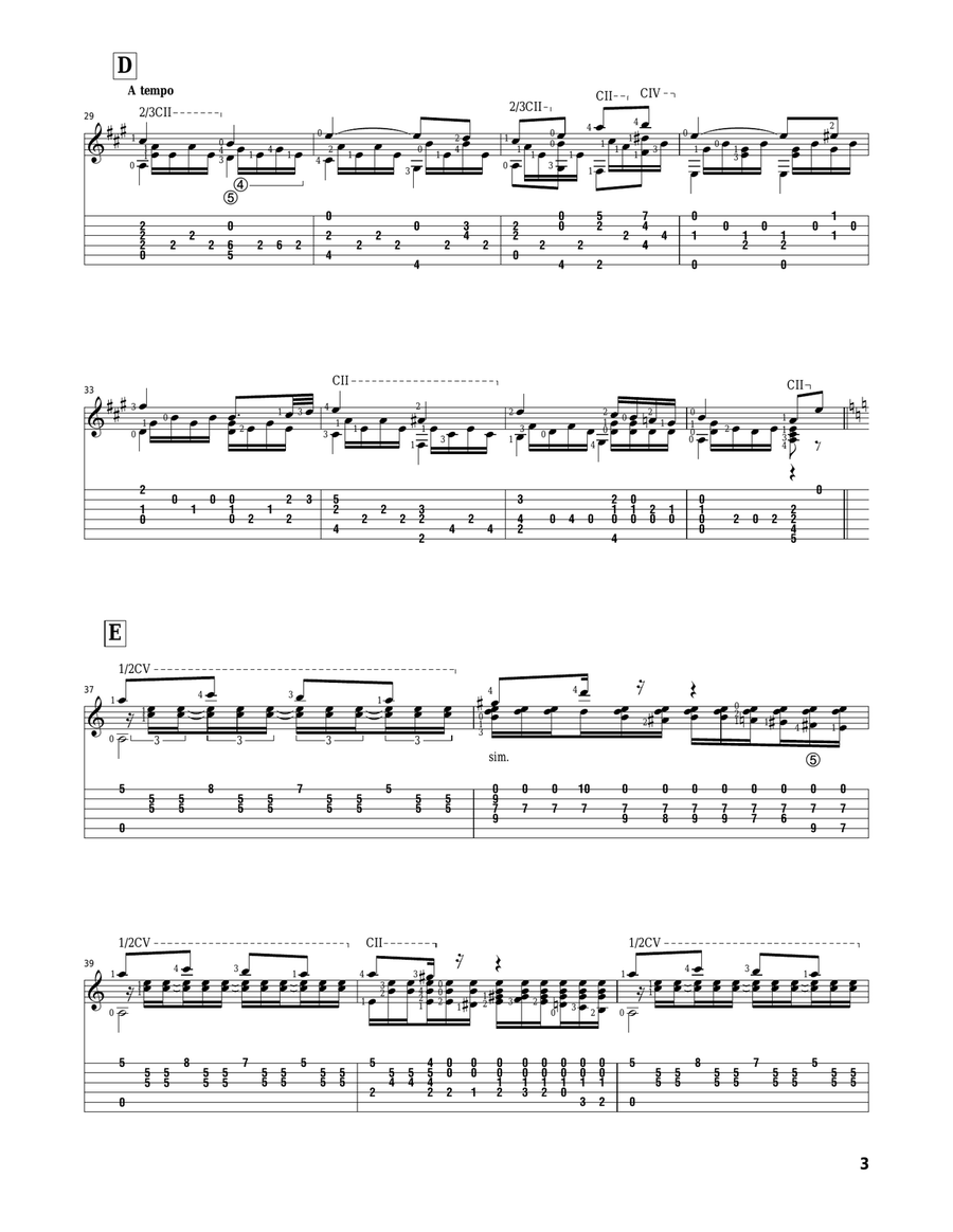 Adagio Acoustic Guitar scores gallery preview page 3