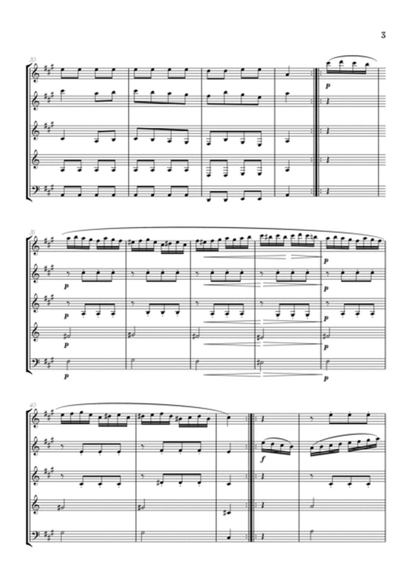 Rondo Alla Turca (Turkish March) | Woodwind Quintet sheet music image number null