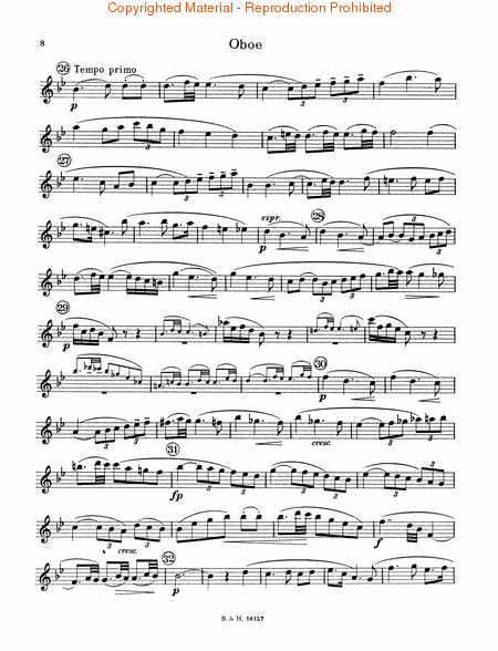 Concerto by Richard Strauss Piano Accompaniment - Sheet Music