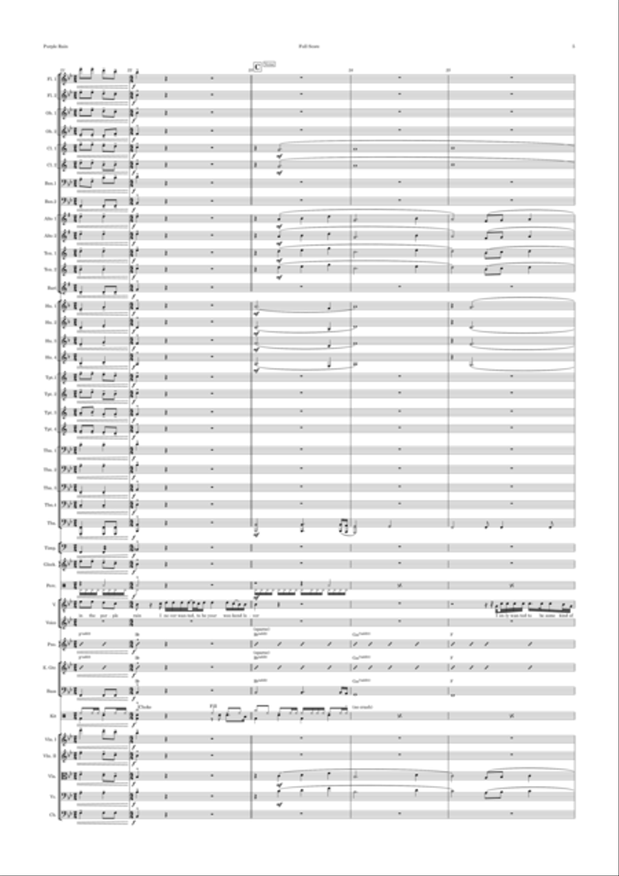 Purple Rain Full Orchestra scores gallery preview page 5