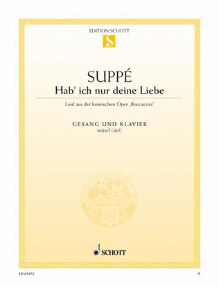 Book cover for Hab' ich nur deine Liebe