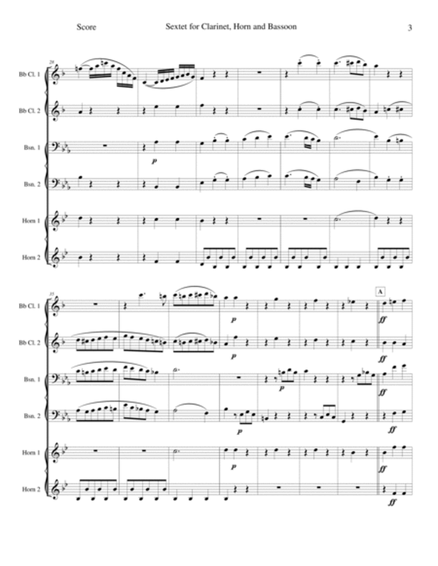 Sextet for Clarinet, Horn and Bassoon - Opus 71 image number null