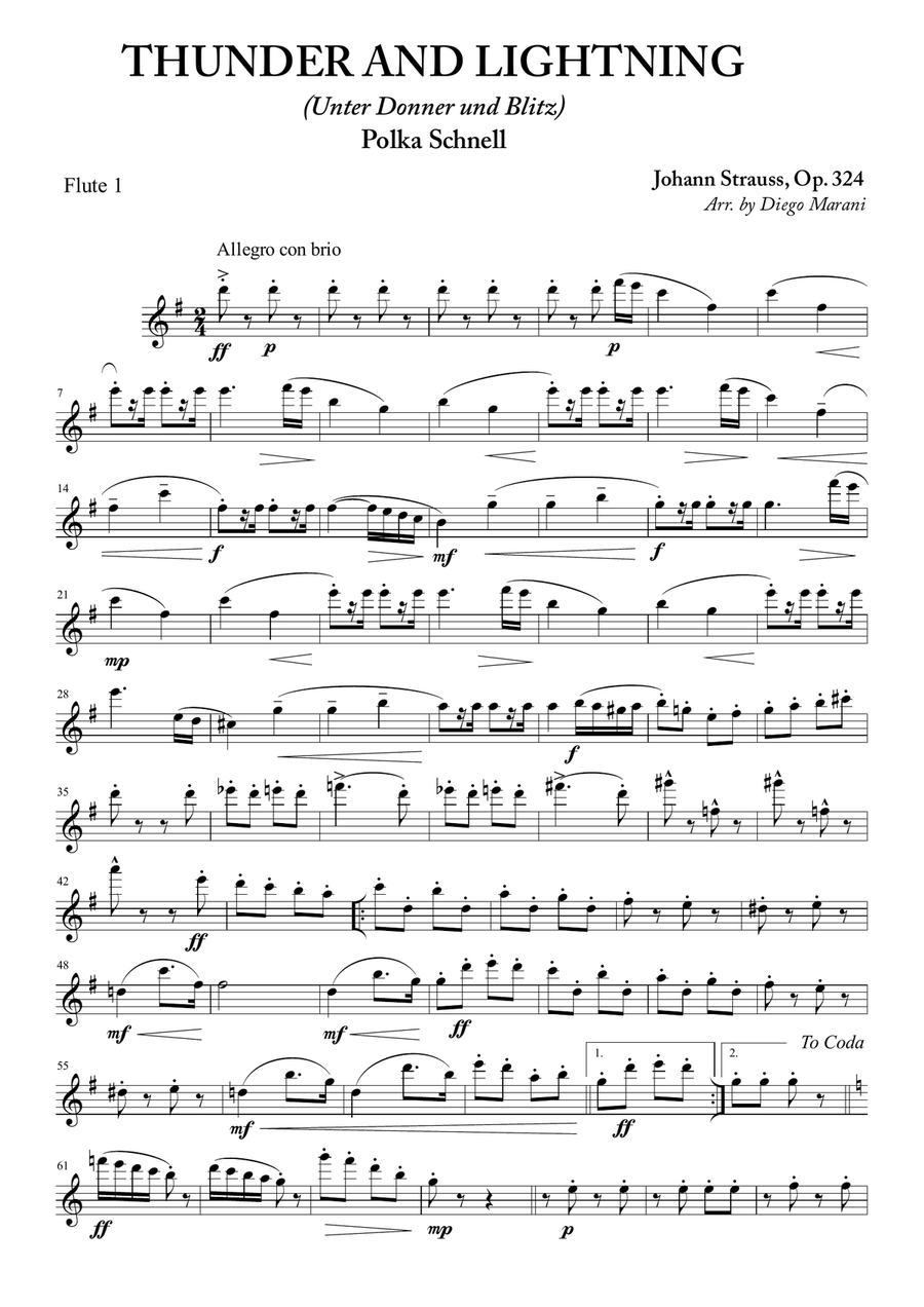 Thunder and Lightning for Flute Quartet Flute Quartet scores gallery preview page 1