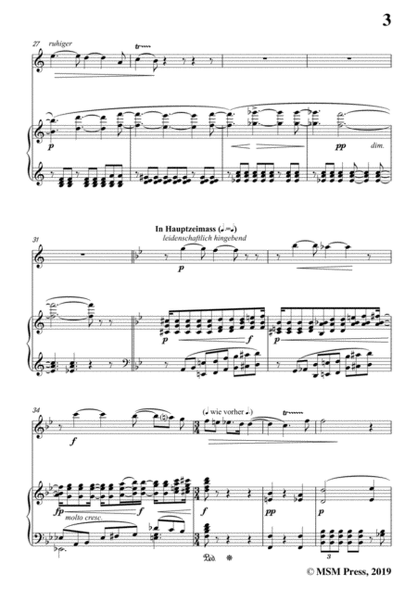 Wolf-Mignon, for Flute and Piano image number null