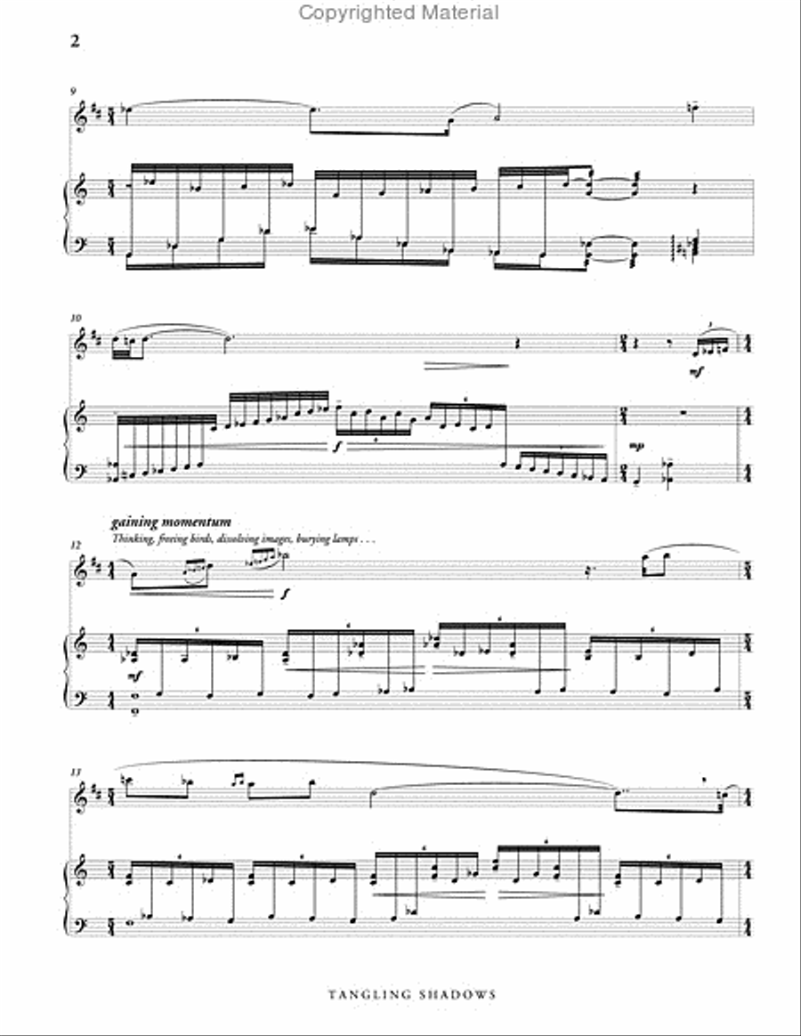 Tangling Shadows, Version 2 (score & parts) B-Flat Clarinet scores gallery preview page 3