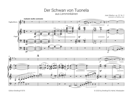 The Swan of Tuonela Op. 22/2