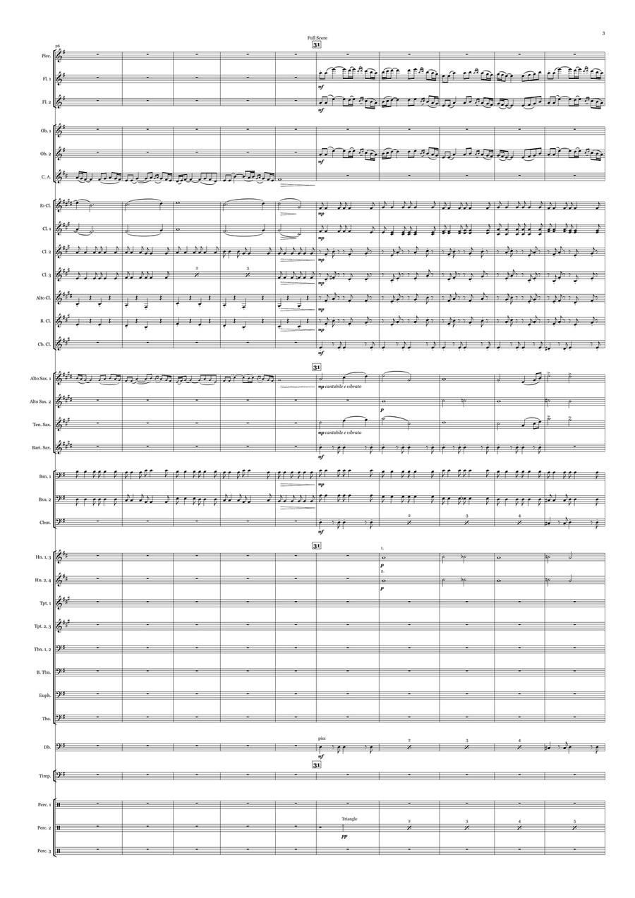Polovtsian Dances (from the Opera 'Prince Igor') Concert Band scores gallery preview page 3