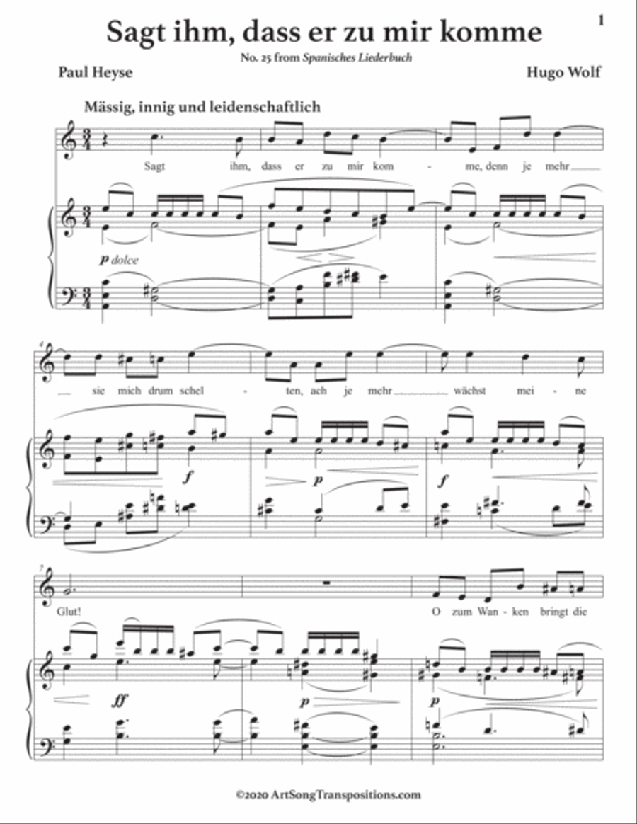 WOLF: Sagt ihm, dass er zu mir komme (transposed to A minor) Voice scores gallery preview page 2