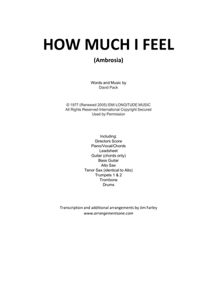 Book cover for How Much I Feel