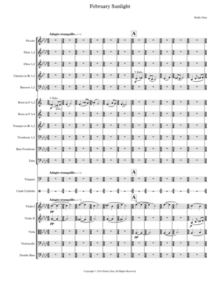 February Sunlight (Orchestra Score)