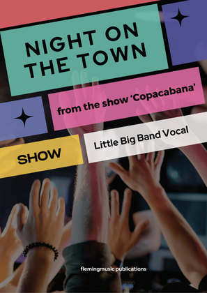 Book cover for Night On The Town