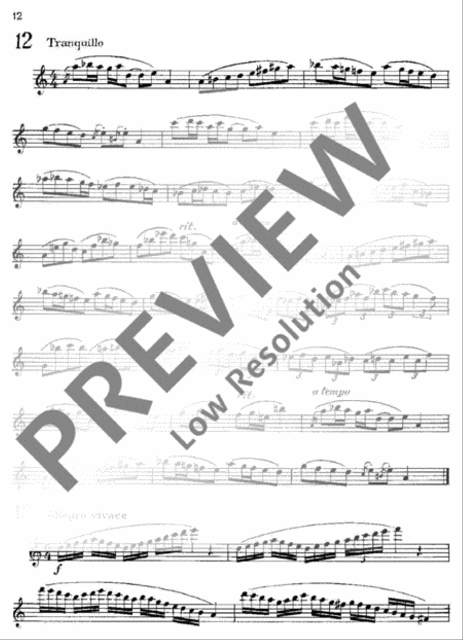 Modern Exercises for Treble Recorder Alto Recorder scores gallery preview page 13