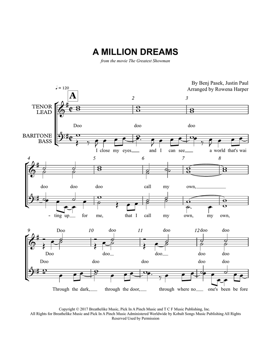 Book cover for A Million Dreams