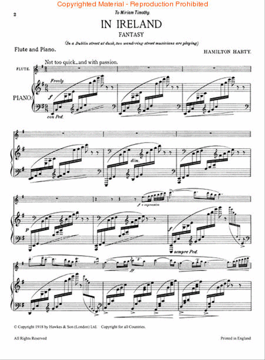 In Ireland Flute Solo scores gallery preview page 2