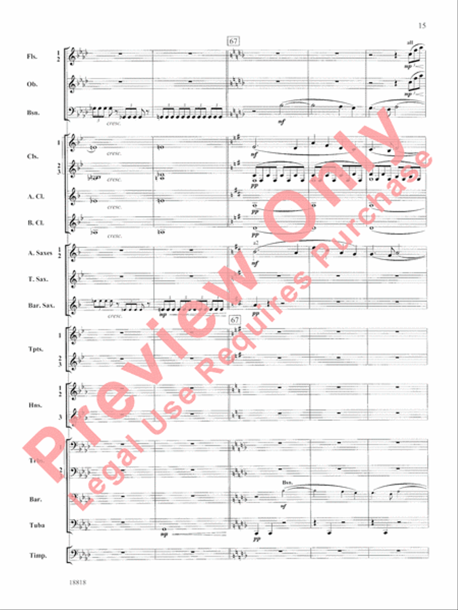 Symphony No. 9 New World, Finale Concert Band scores gallery preview page 16
