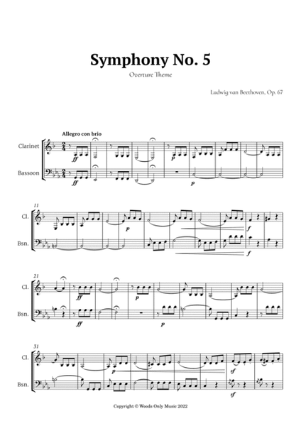Symphony No. 5 by Beethoven for Clarinet and Bassoon image number null