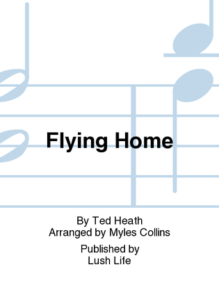 Book cover for Flying Home