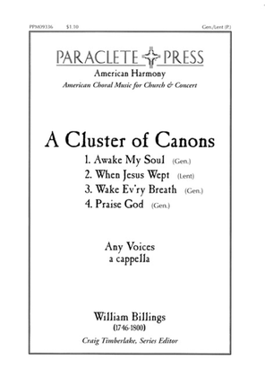 Book cover for A Cluster of Canons