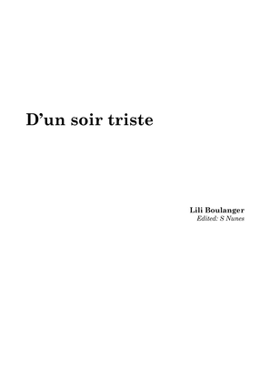 Book cover for D'un soir triste