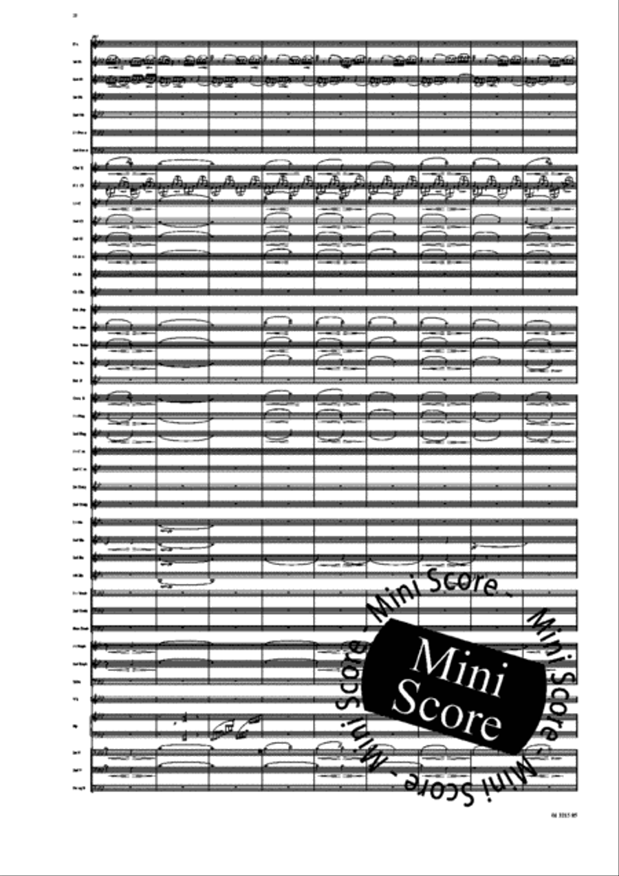 Ma Vlast Concert Band scores gallery preview page 24