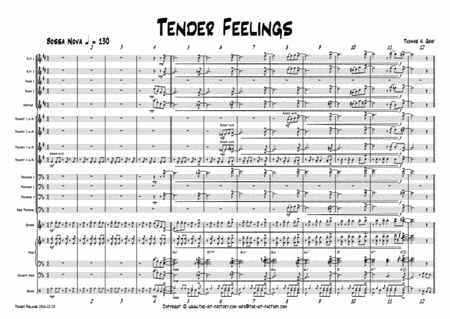 Tender feelings - Bossa Nova/Samba - Big Band