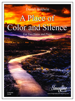 Book cover for A Place of Color and Silence