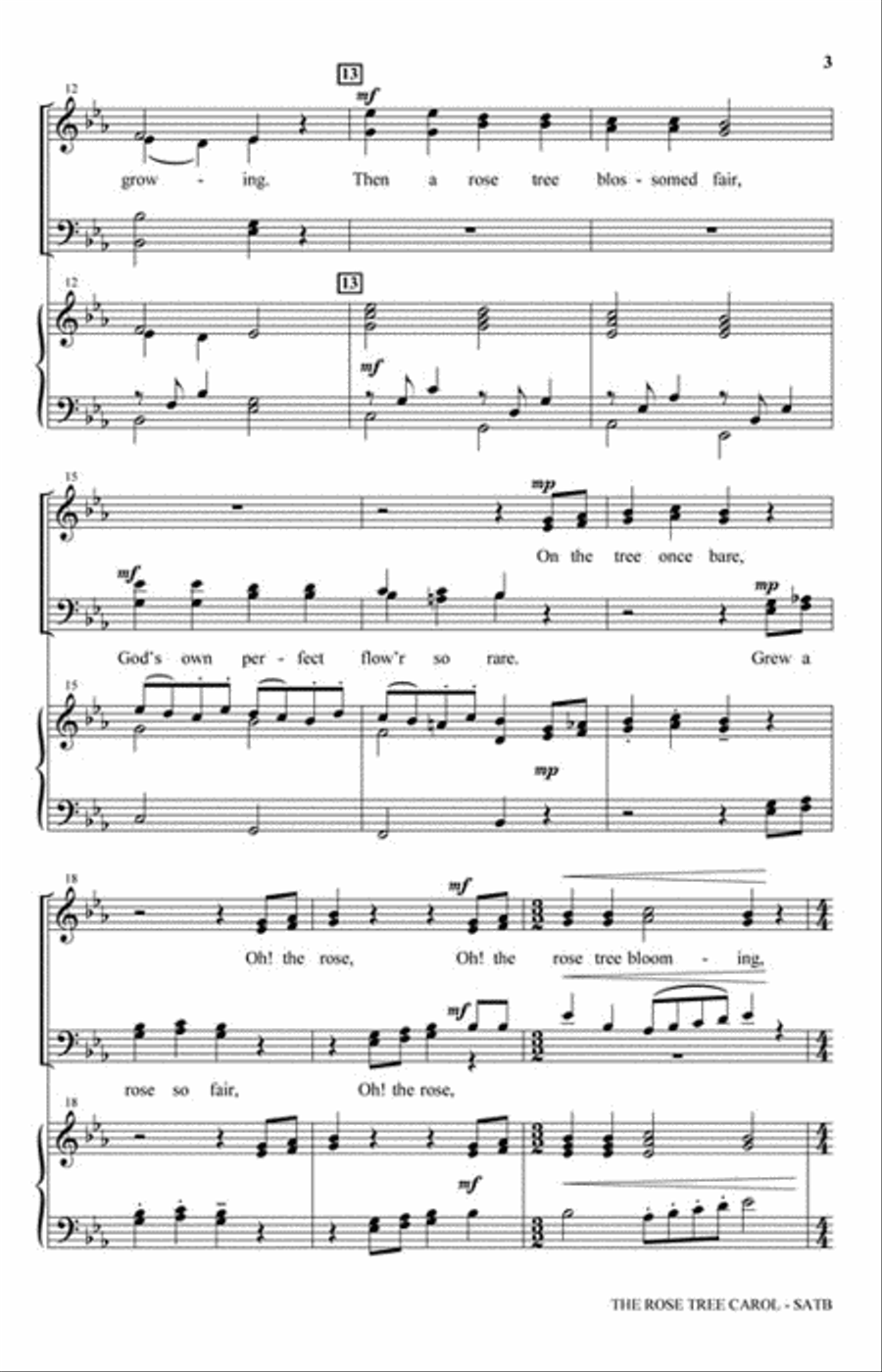 The Rose Tree Carol (from The Winter Rose) Orchestra scores gallery preview page 3