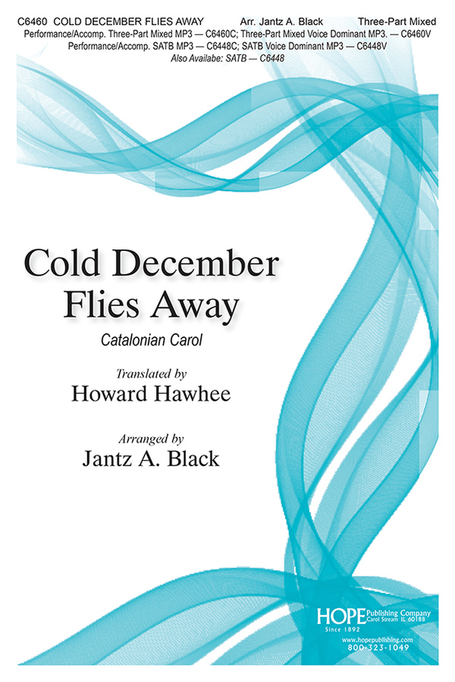 Book cover for Cold December Flies Away