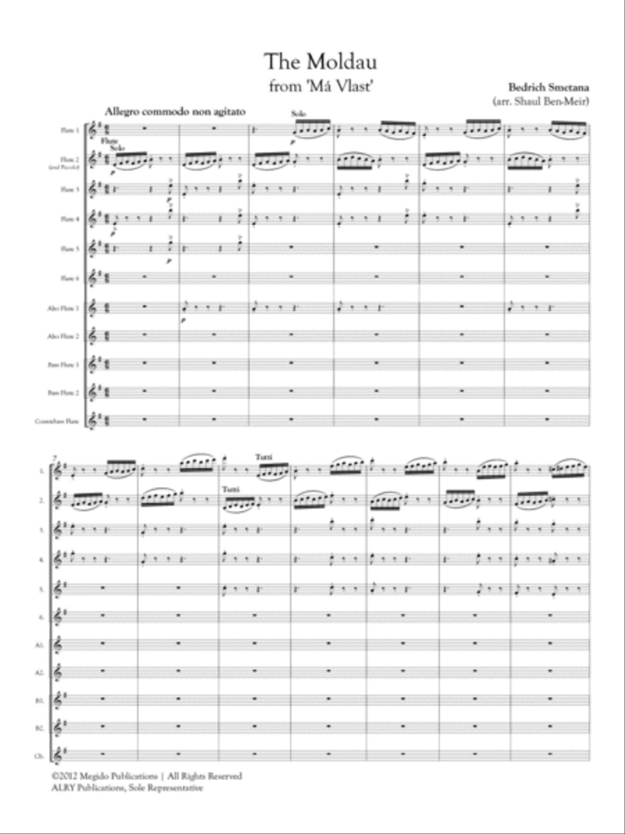 The Moldau for Flute Orchestra Flute Choir scores gallery preview page 2