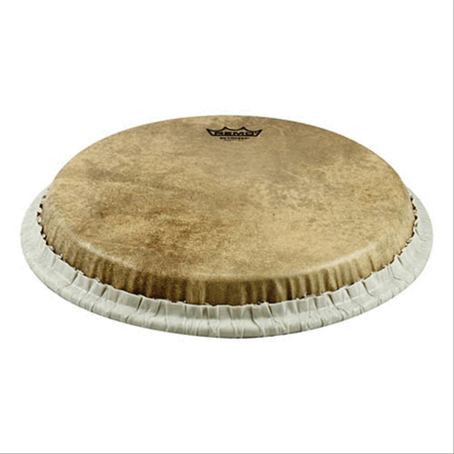 Conga Drumhead, Tucked, 11“, Skyndeep, 'calfskin' Graphic Conga Drumhead, Tucked, 11“, Skyndeep, 'calfskin' Graphic Musical Instruments scores gallery preview page 2