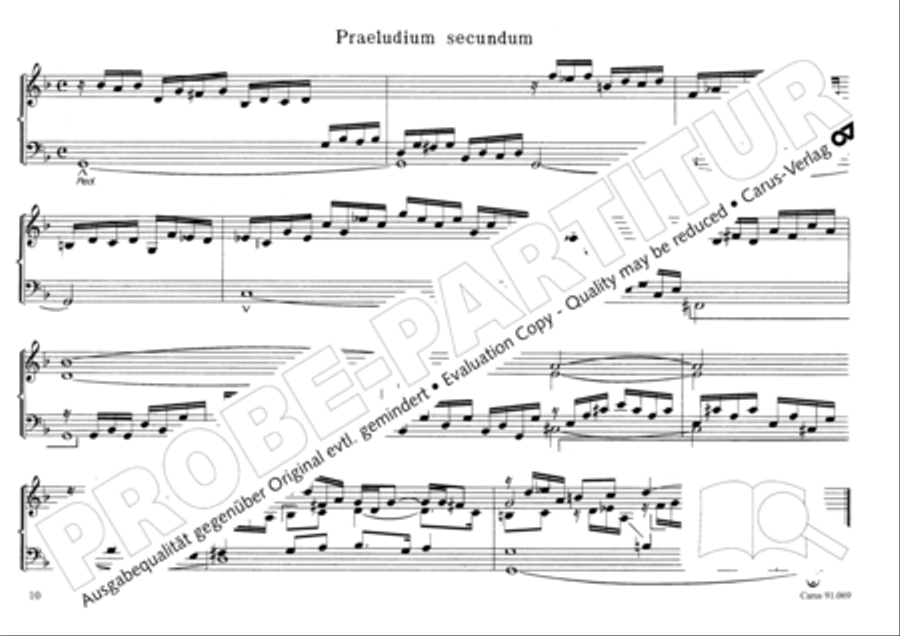 Musikalischer Blumenstrauss Organ Solo scores gallery preview page 13