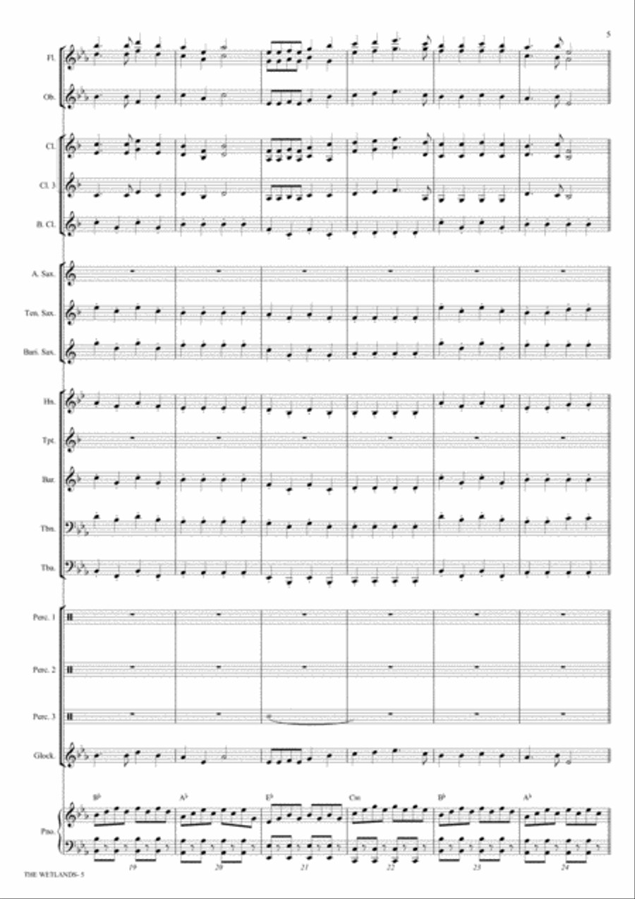 The Wetlands (Score and Parts) Concert Band scores gallery preview page 5