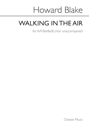 Book cover for Walking in the Air