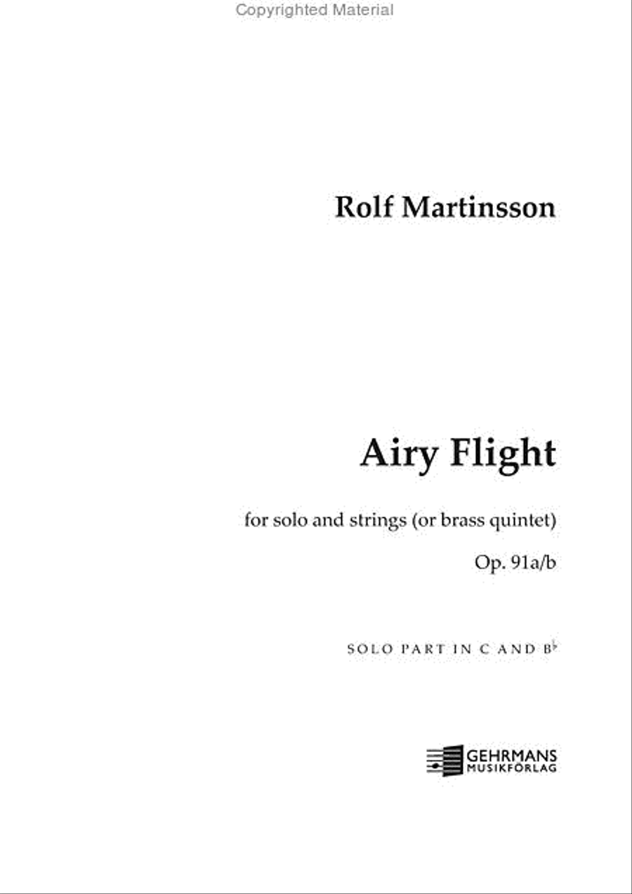 Airy Flight (Solo part) String Orchestra scores gallery preview page 2