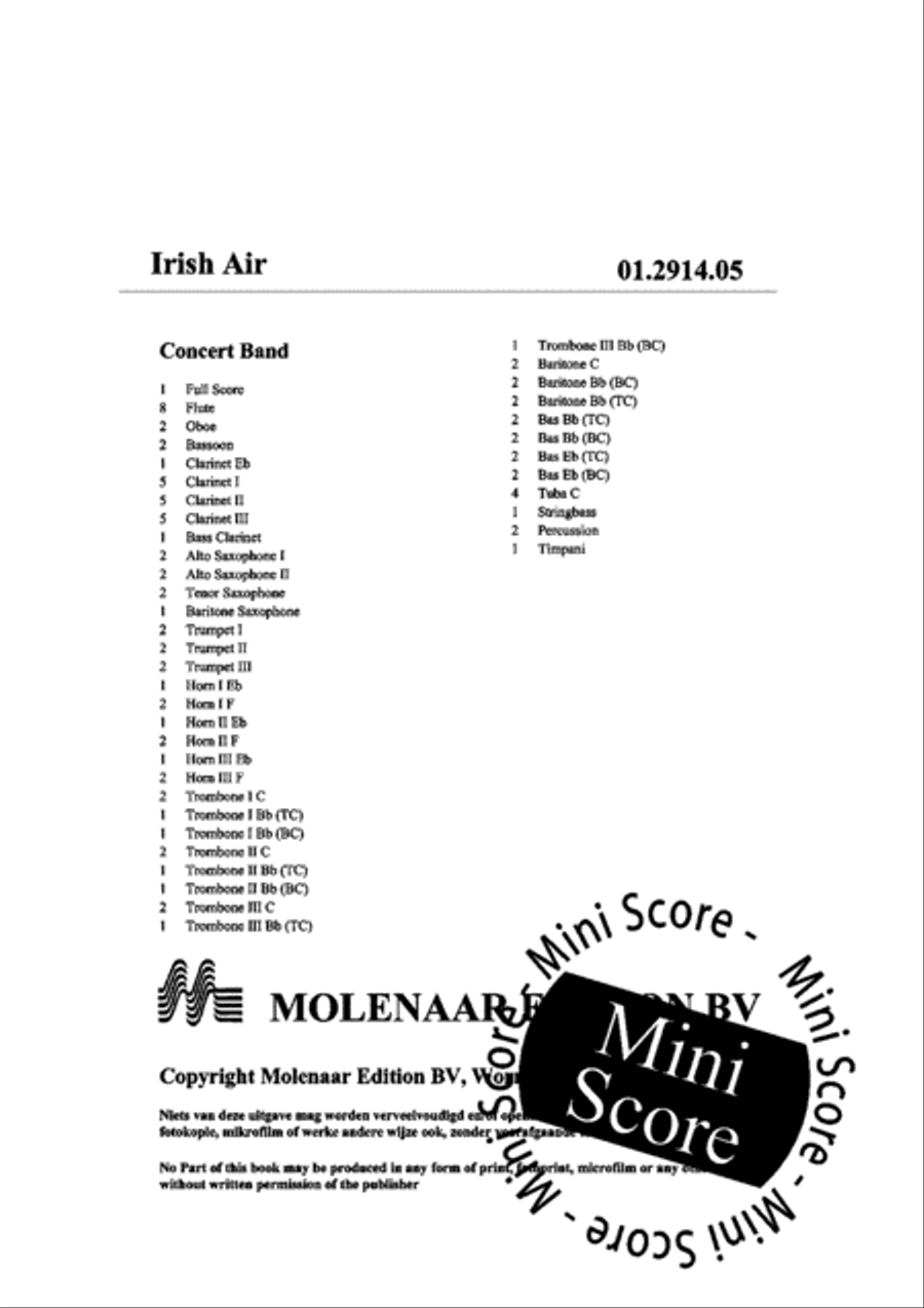 Irish Air Irish Air Concert Band scores gallery preview page 4
