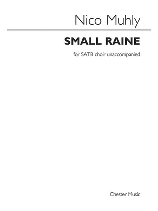 Book cover for Small Raine