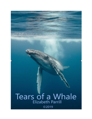 Tears of a Whale