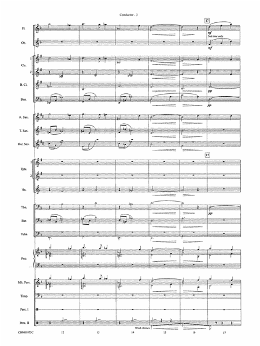Hedwig's Theme (from Harry Potter): Score Concert Band scores gallery preview page 5