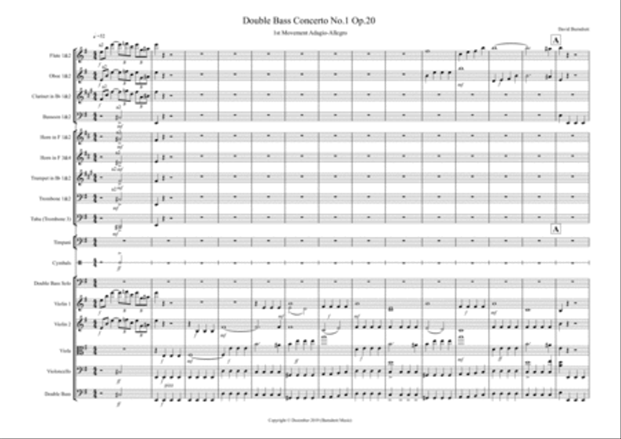 Double Bass Concerto No.1 (Opus.20) Full Orchestra scores gallery preview page 1