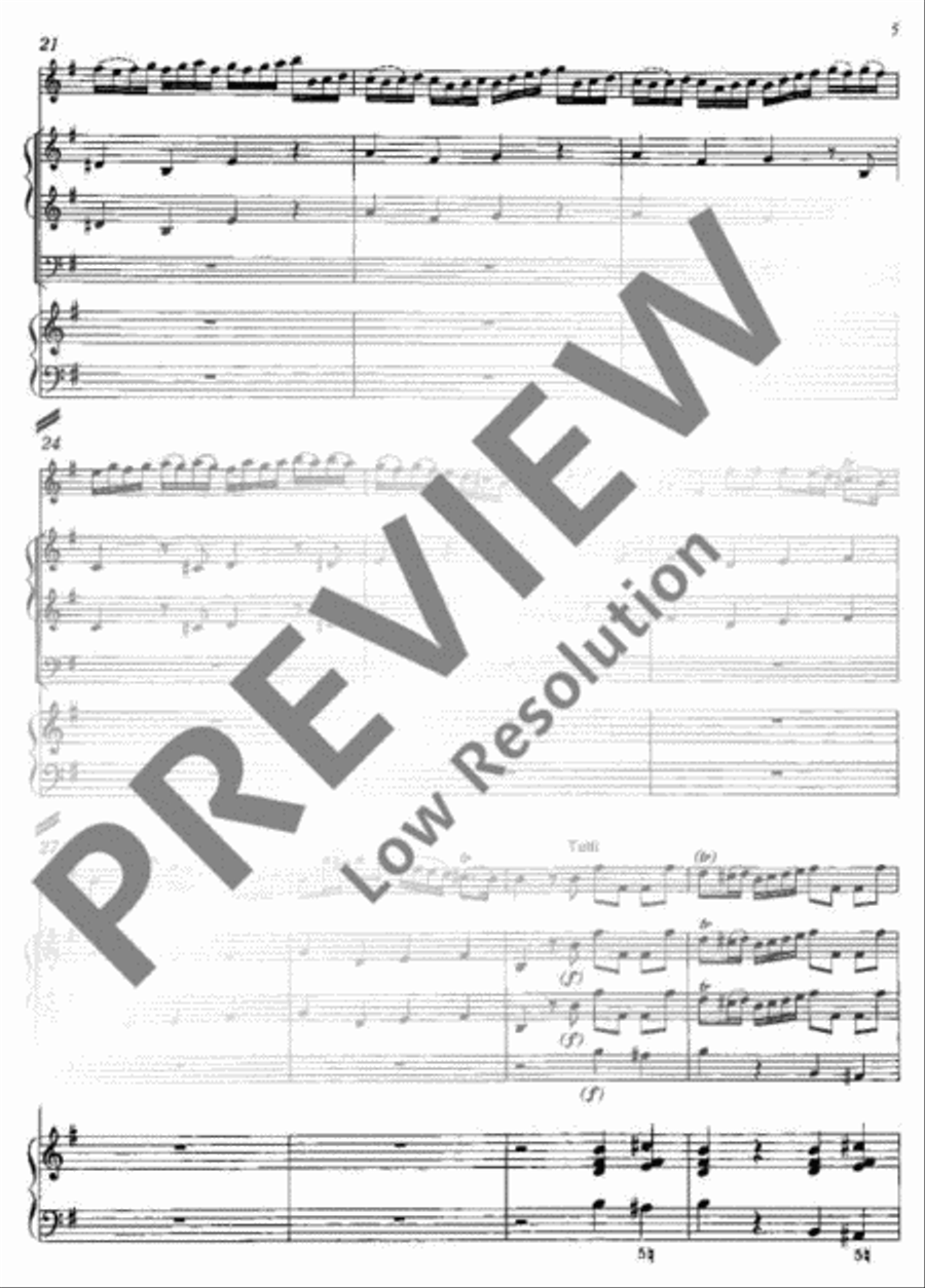 Concerto E minor Flute Solo scores gallery preview page 6