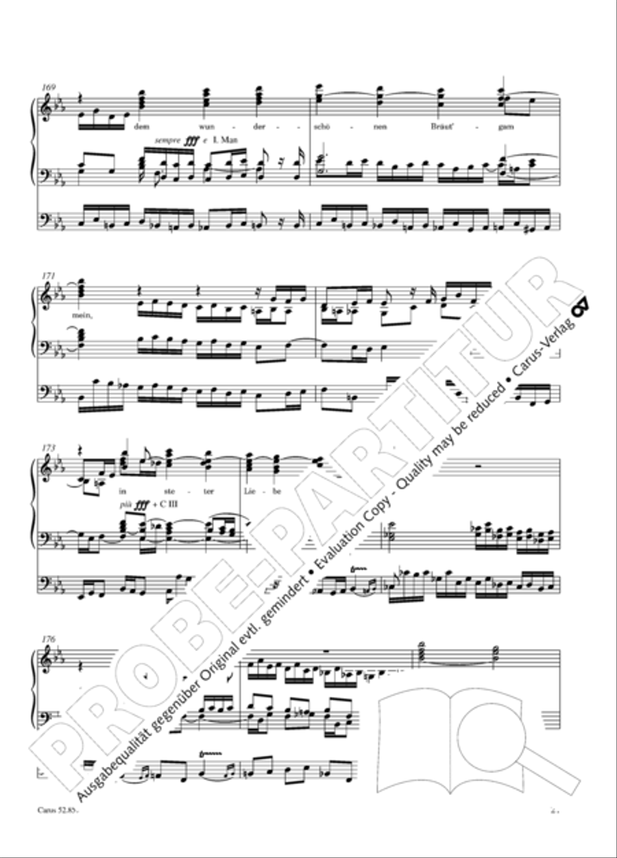 Choralphantasie Op. 40 Organ scores gallery preview page 22