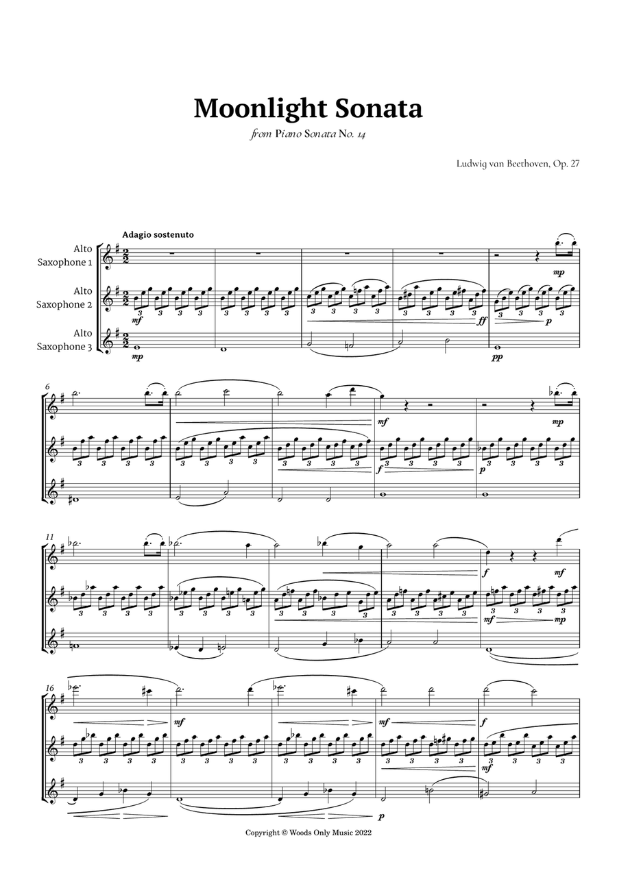 Moonlight Sonata by Beethoven for Alto Sax Trio Woodwind Trio scores gallery preview page 2