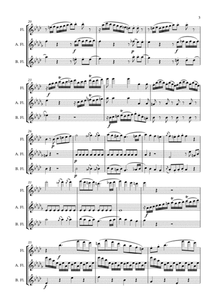 Divertimento trio arr. Concert flute, Alto flute and Bass flute KV 563
