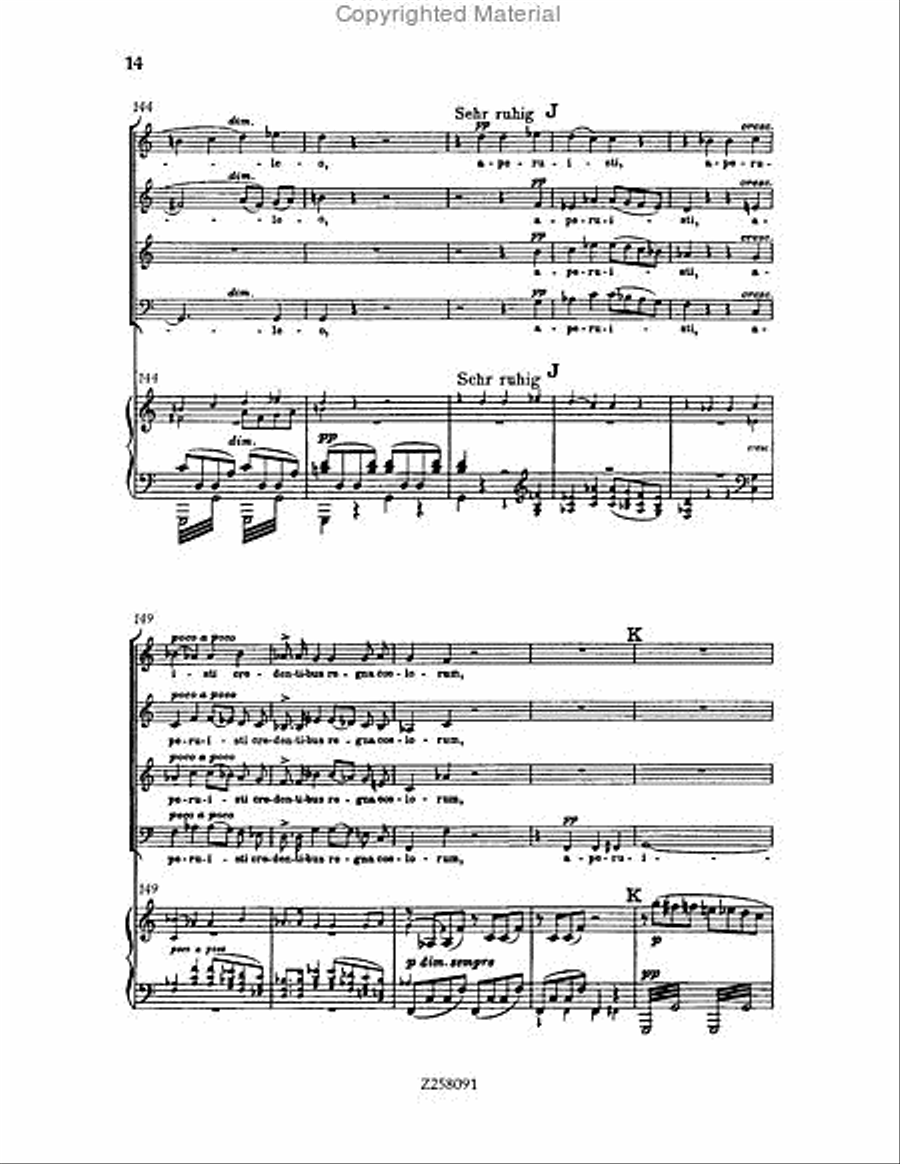 Te Deum, WAB 45 (1886 revision) Choir scores gallery preview page 14