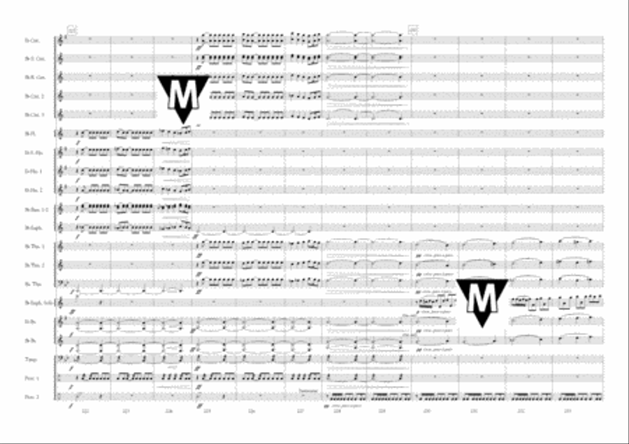 Euphonium Fiesta Brass Band scores gallery preview page 24