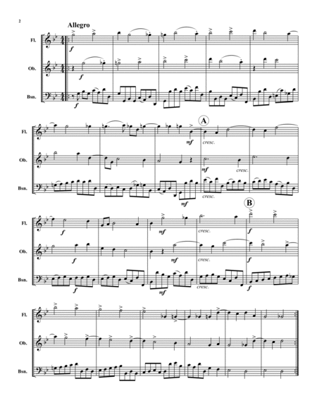 Concerto Grosso in G Minor
