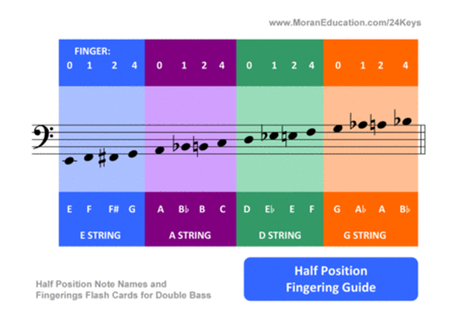 Double Bass Flash Cards
